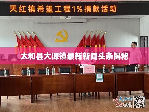 太和县大源镇最新新闻头条揭秘
