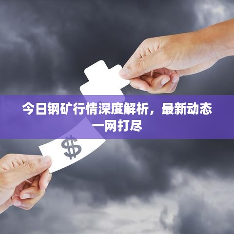 今日钢矿行情深度解析，最新动态一网打尽
