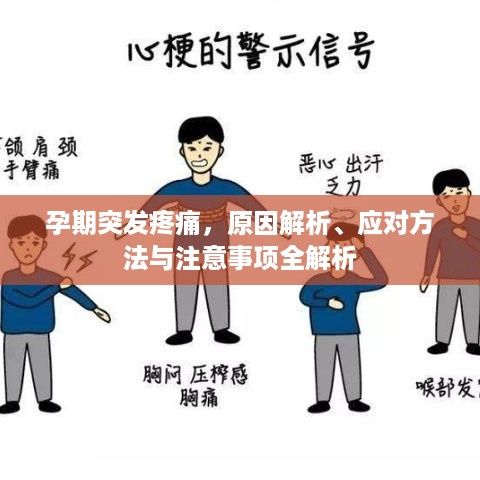 孕期突发疼痛，原因解析、应对方法与注意事项全解析