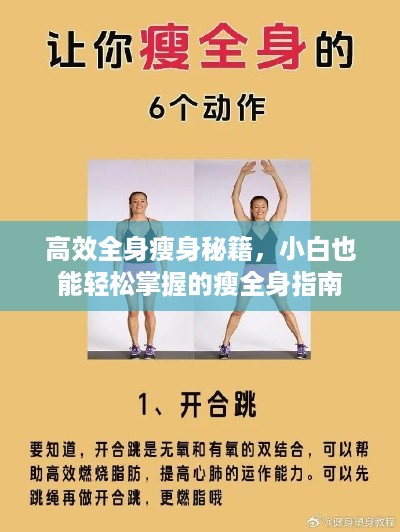 高效全身瘦身秘籍，小白也能轻松掌握的瘦全身指南