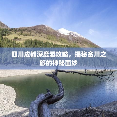 四川成都深度游攻略，揭秘金川之旅的神秘面纱