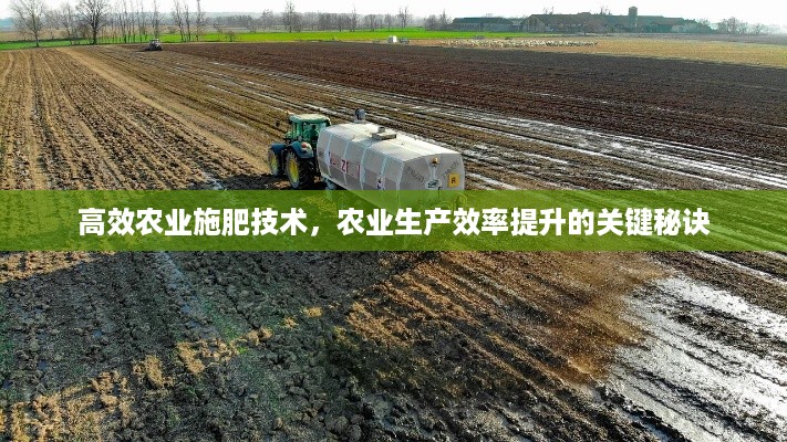 高效农业施肥技术，农业生产效率提升的关键秘诀
