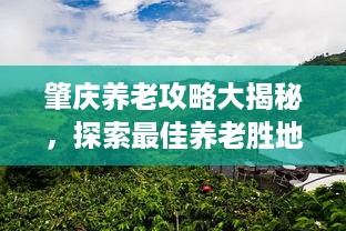 肇庆养老攻略大揭秘，探索最佳养老胜地！