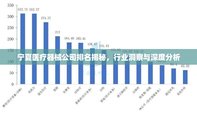 宁夏医疗器械公司排名揭秘，行业洞察与深度分析