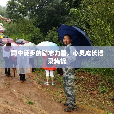 雨中徒步的励志力量，心灵成长语录集锦