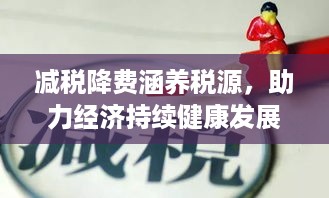 减税降费涵养税源，助力经济持续健康发展