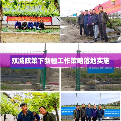 2025年5月