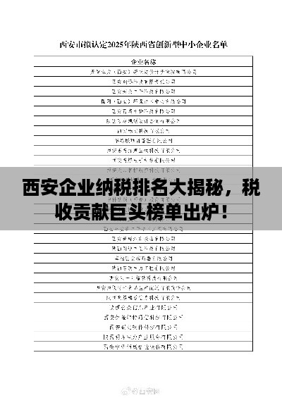 取证 第8页