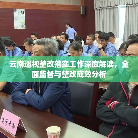 云南巡视整改落实工作深度解读，全面监督与整改成效分析