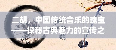 二胡，中国传统音乐的瑰宝——探秘古典魅力的宣传之旅