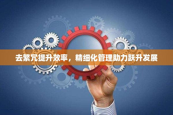 去繁冗提升效率，精细化管理助力跃升发展