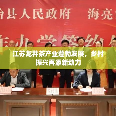 江苏龙井茶产业蓬勃发展，乡村振兴再添新动力