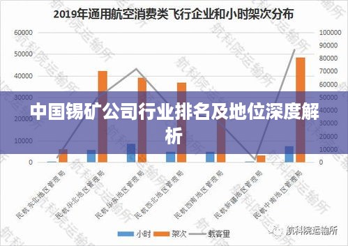 中国锡矿公司行业排名及地位深度解析