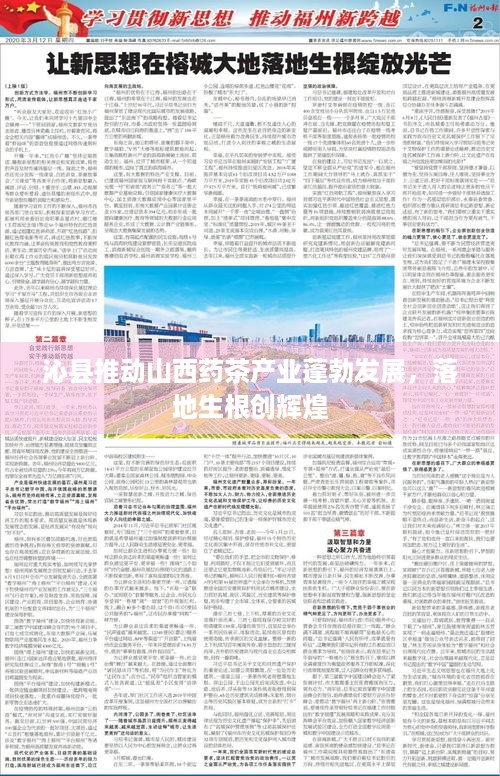 沁县推动山西药茶产业蓬勃发展，落地生根创辉煌