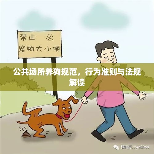 公共场所养狗规范，行为准则与法规解读