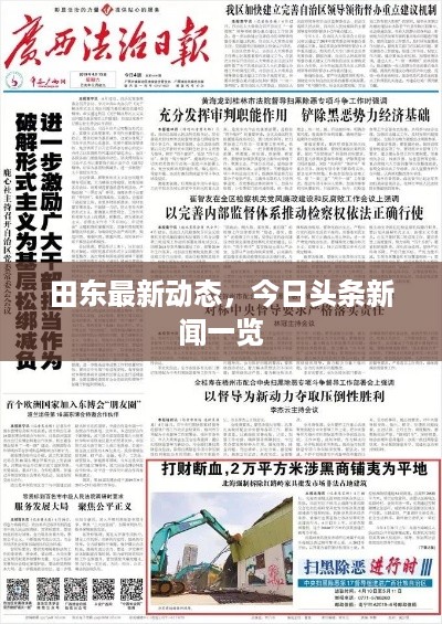 田东最新动态，今日头条新闻一览