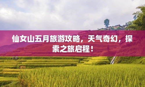 仙女山五月旅游攻略，天气奇幻，探索之旅启程！